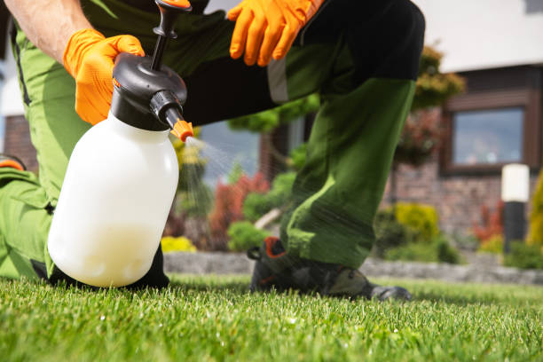 Best Best Pest Control Companies  in Iota, LA