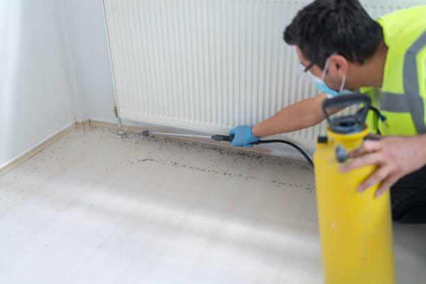 Best Best Pest Control Companies  in Iota, LA