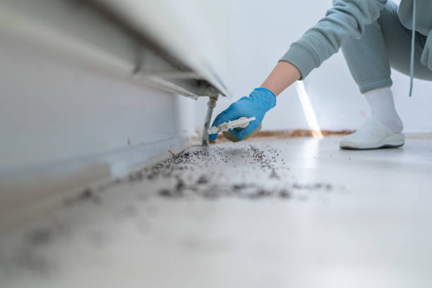  Iota, LA Pest Control Pros